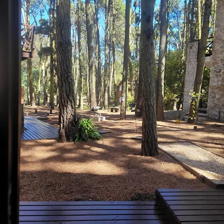 Cabañas Casa Loló-3