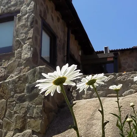 La Osadia Cabañas y Suites Solo Adultos-3