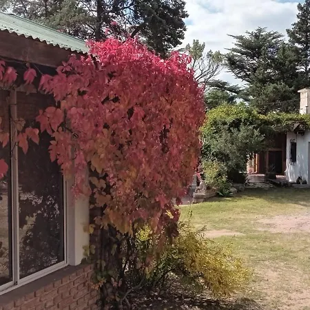 Hosteria y Cabañas Los Mimbres-2