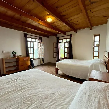 Cabañas Las Camelias-2