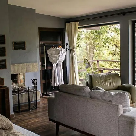 Orgánico Hotel Boutique-2