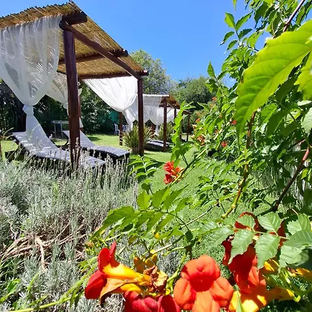 Cabañas Thijada-2