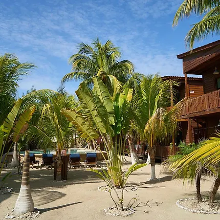 Coconut by ÓOL Hotels-3