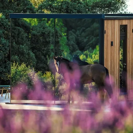 Cork Valley - Pet Friendly & Only Adults-2