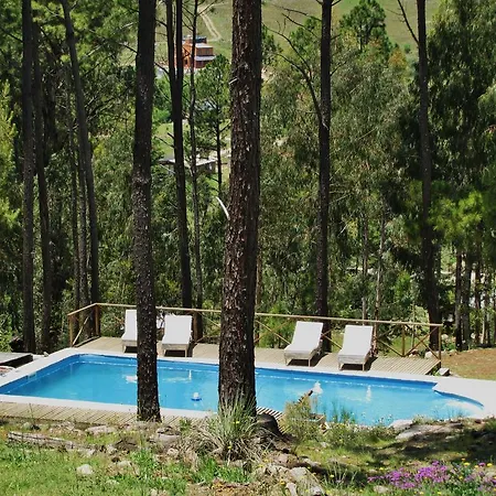 Cabanas Los Arboles-2