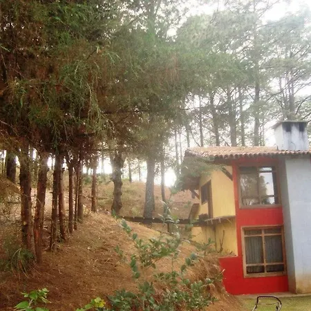 Cabanas El Pinar-3