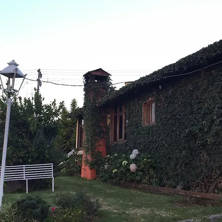 Cabanas En Mazamitla Betito-2