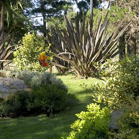 Fincas Al Sur-3