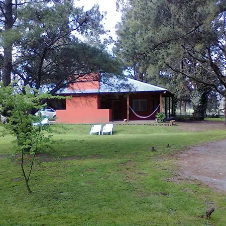 Cabanas Entre Ombues Y Tilos-2