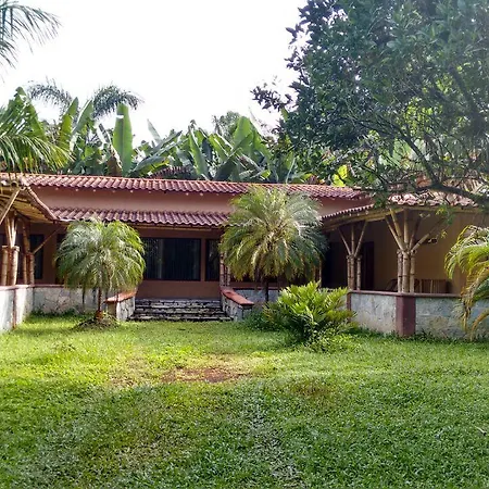 Plan De Guinea-2