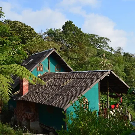 Cabañas los Cedros-3