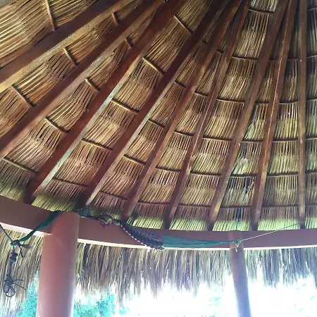 Nexpa Surf "Cabanas Mar De Noche"-2