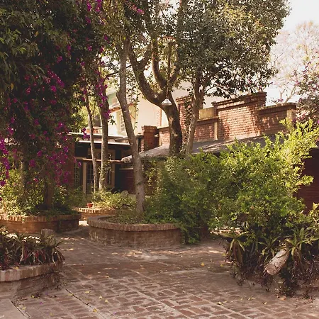 Los Arboles-2