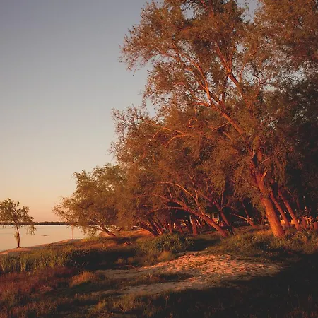 Los Arboles-3