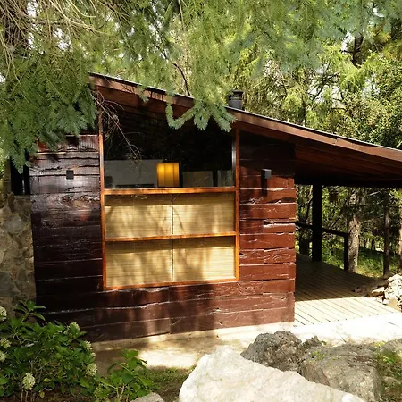 Niderost-3
