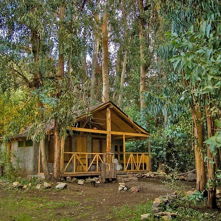Hacienda Los Castanos-2