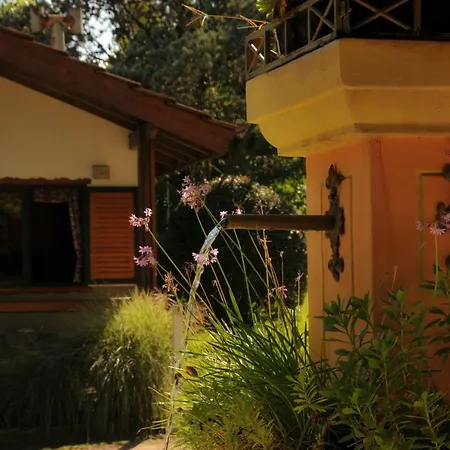 Cabañas Alpendorf-2