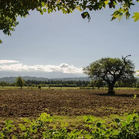 La Alcahuisa-2