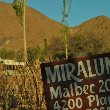 Miraluna - Cabañas&Bodega-2