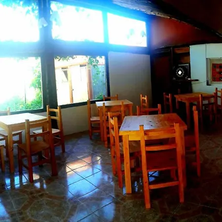 Pura Vida Hostel-3