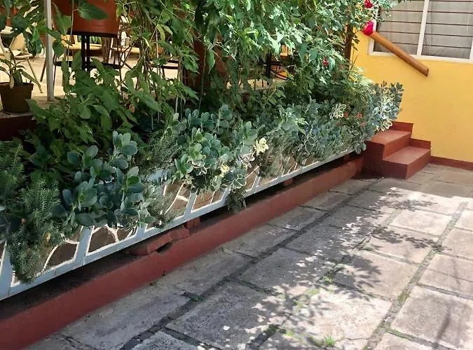Habitaciones Betito Mazamitla