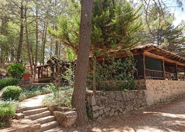 Cabañas Tapalpa Sierra del Tecuan, Cabaña Coyote