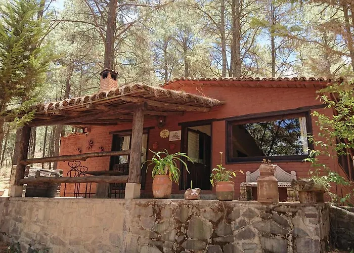 Cabañas tapalpa Sierra del Tecuan, Cabaña Tejón