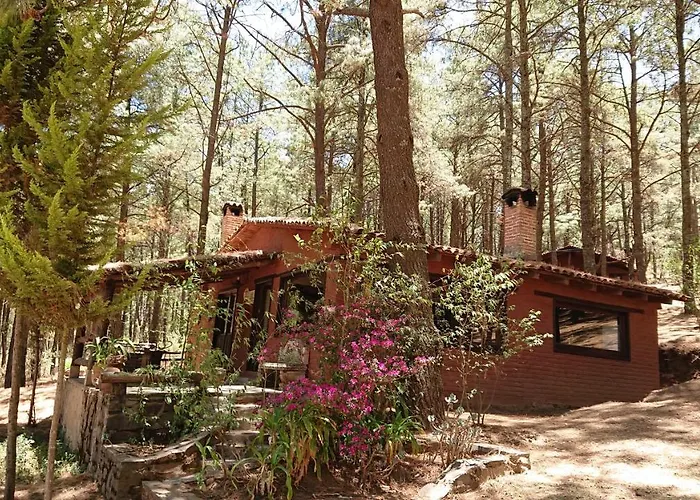 Cabañas tapalpa Sierra del Tecuan, Cabaña Tejón