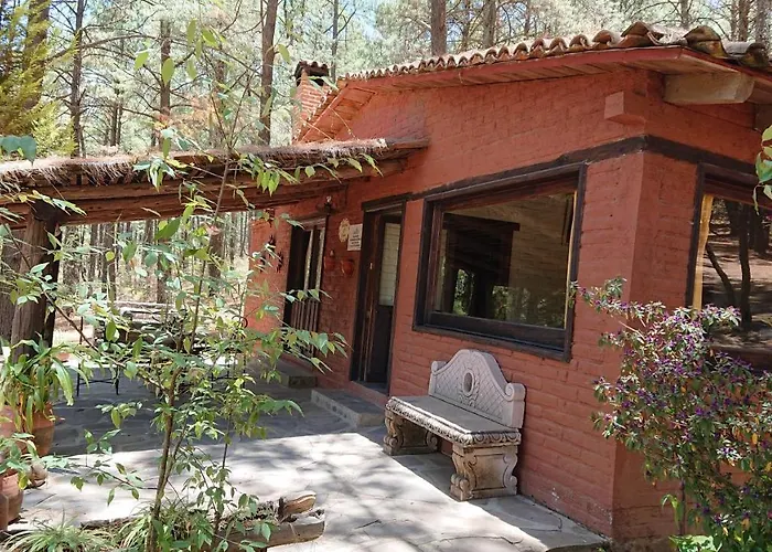 Cabañas tapalpa Sierra del Tecuan, Cabaña Tejón