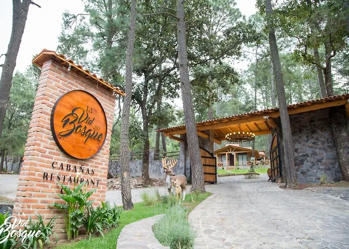 Hotel Cabañas La Vid Del Bosque Tapalpa
