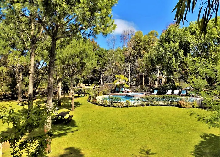Cabañas Albapampa Santa Teresita