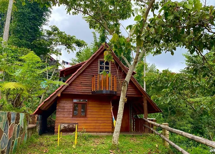 Cabañas los Cedros Cuetzalán del Progreso