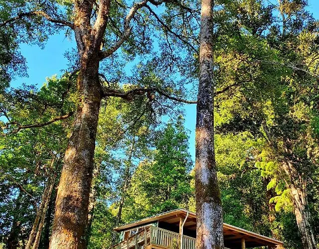 Cabaña en el Cerro con Vista al Río Valdivia