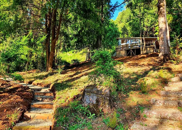 Cabaña en el Cerro con Vista al Río Valdivia