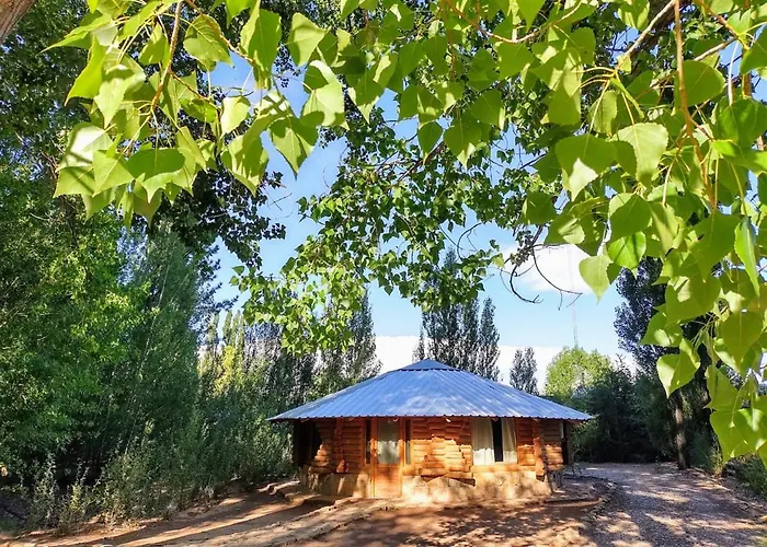 Cabañas Los Renuevos Malargüe