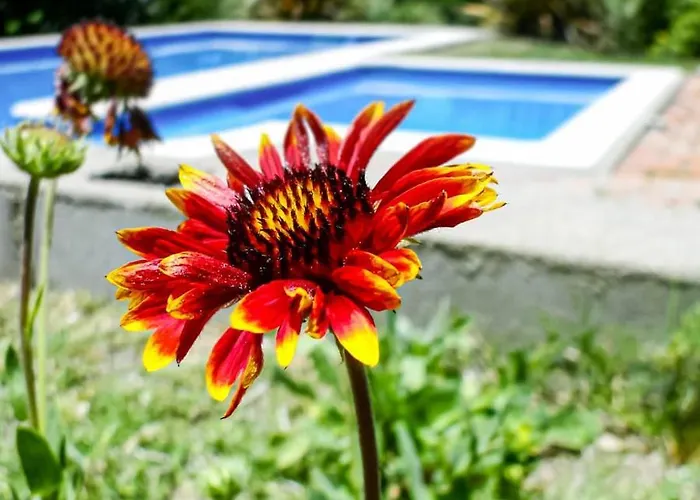Llanten Dorado Cabañas Villa Giardino