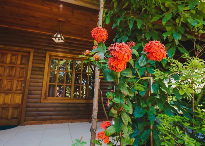 Cabañas Riberas del Paraná Puerto Iguazú