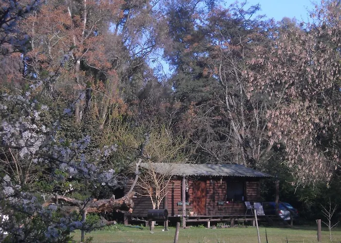 Cabañas Las Lavandas en Pilar