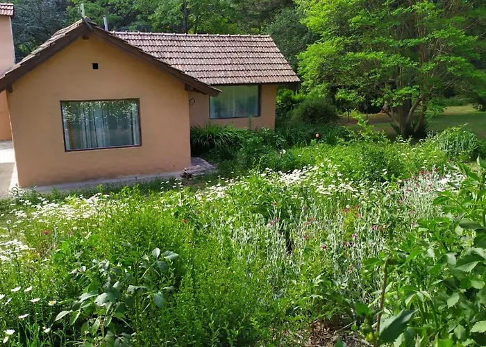 Los Aromos Cabanas & Vinedo Villa Berna