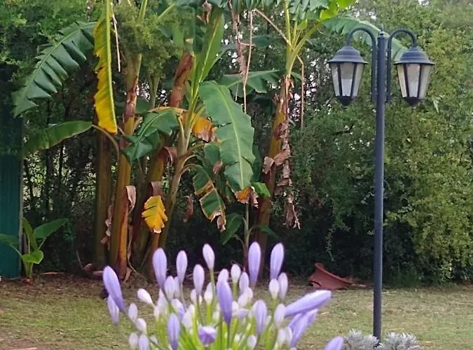 Villa Pago Chico San Pedro 