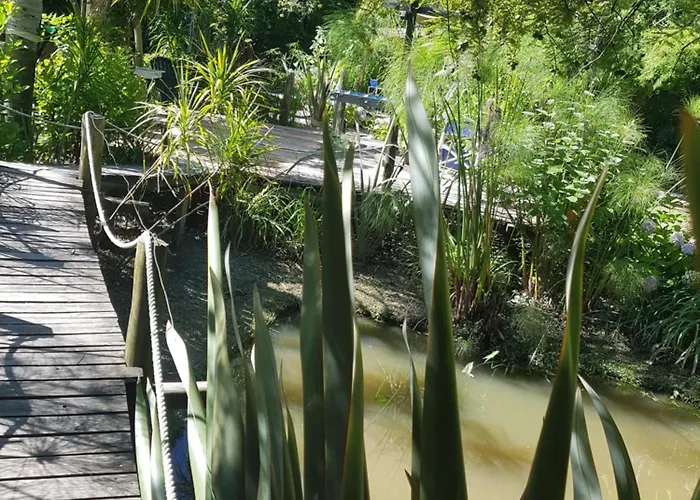 Cabanas Nontue Tigre