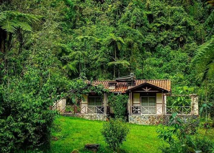 Hotel Termales San Vicente Santa Rosa de Cabal