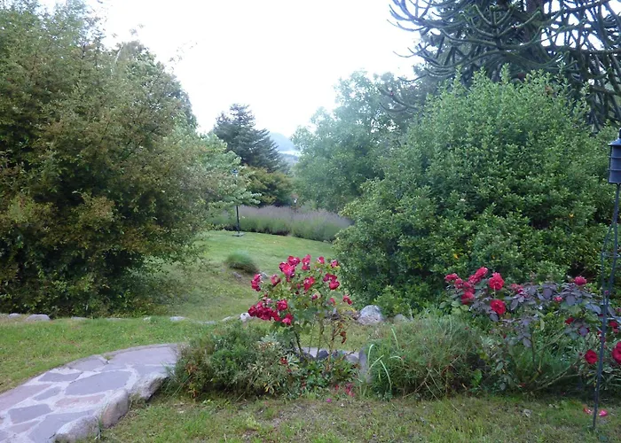 Cabanas Las Lavandas El Bolsón