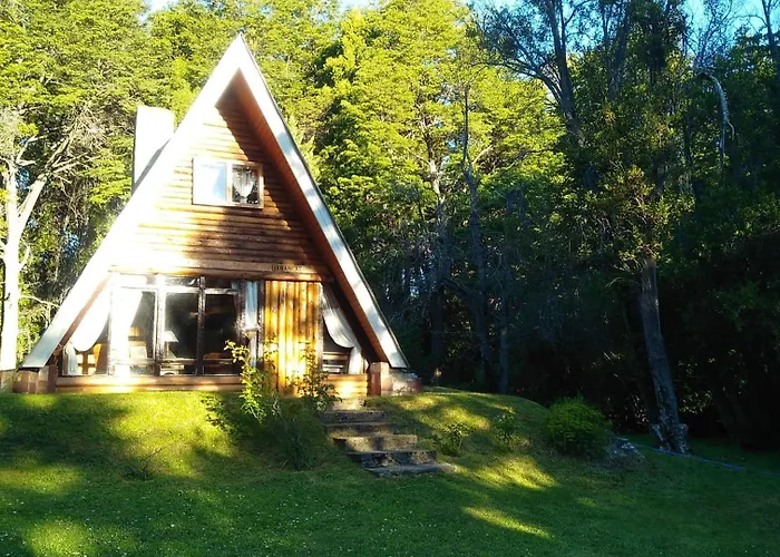 Tejasnegras En El Parque Nacional Los Alerces, Chubut, Argentina Villa Lago Futalaufquen