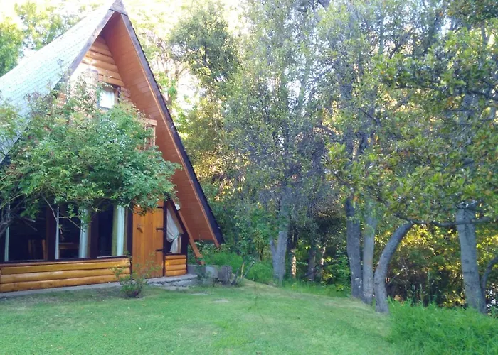 Tejasnegras En El Parque Nacional Los Alerces, Chubut, Argentina Villa Lago Futalaufquen