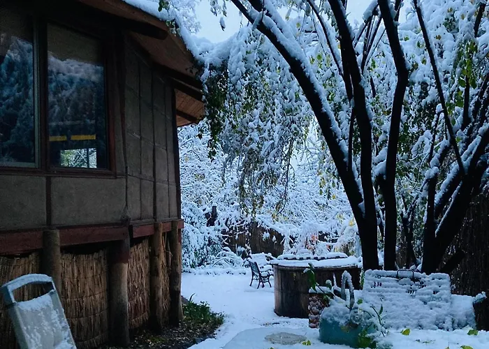Cabañas Alegria Cajón del Maipo San José de Maipo