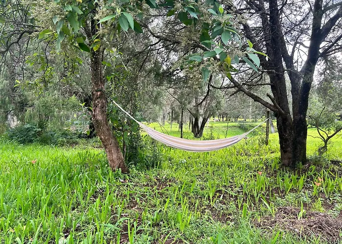 Cabanas La Victoria By Gestores Huasca de Ocampo