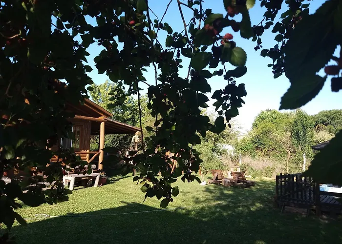 Cabaña de Don Alfonso con parque y parrilla Gualeguaychú