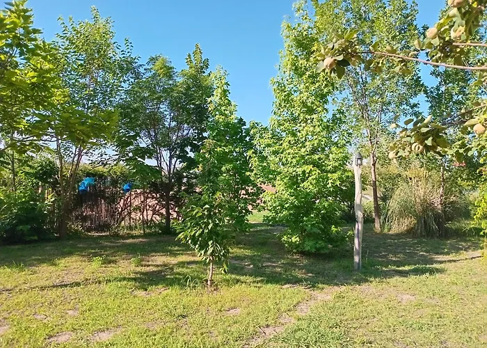 Villa La casa de Vistalba Lujan de Cuyo