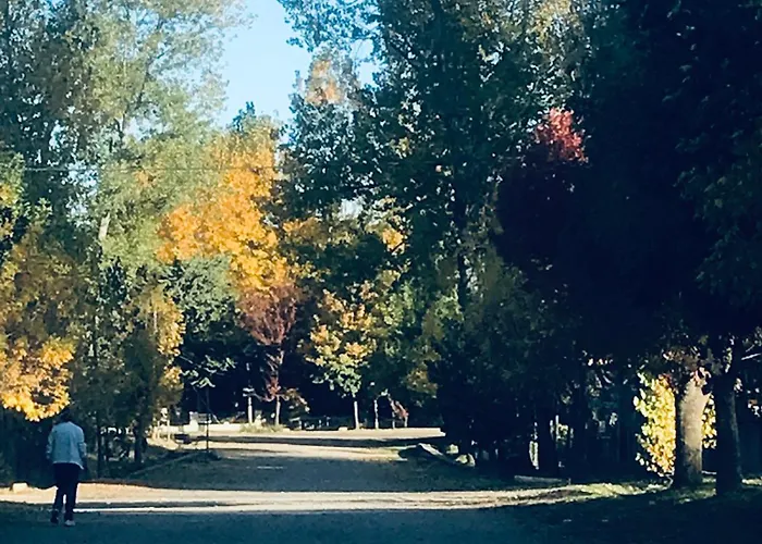 Cabana Manzano Historico Tunuyan Mendoza Los Árboles